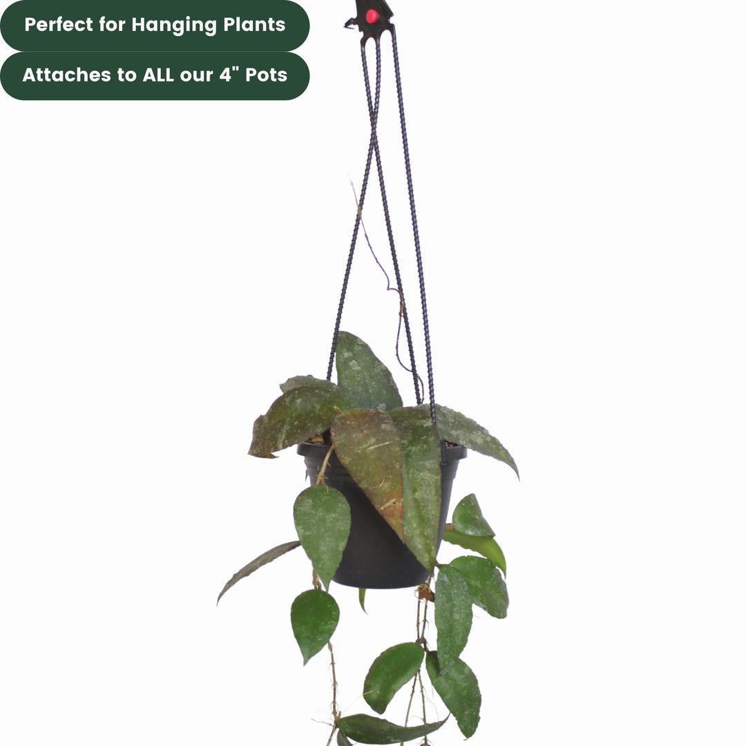 Plastic Plant Hanger