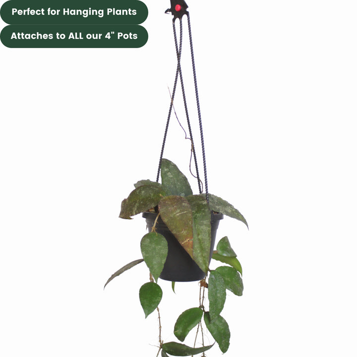 Plastic Plant Hanger