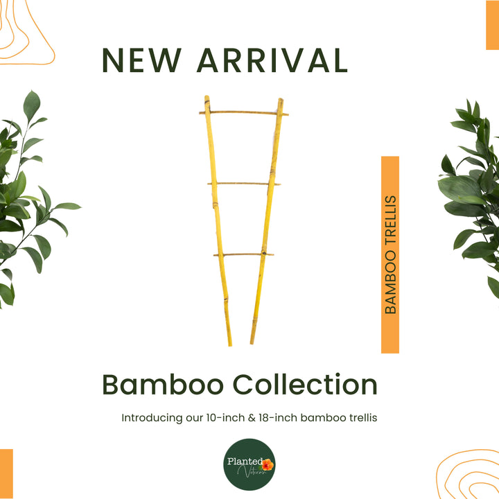 Natural Bamboo Plant Trellis